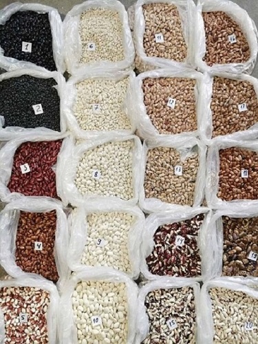 Beans for sale Assortment of beans