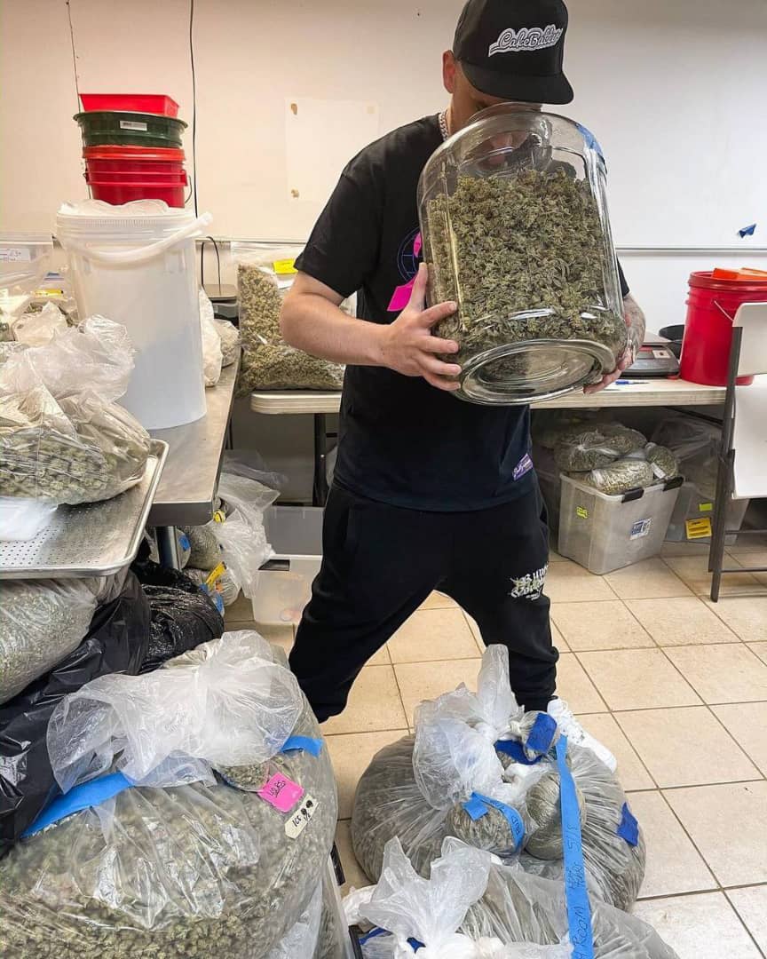 Witam, Wysokiej jakości szczepy marihuany wielu rodzajów rusztów AA +, SOUR DIESEL, OG KUSH, GREEN CRACK, jadalnych i oleju CBD, MOONROCK, koks, keta