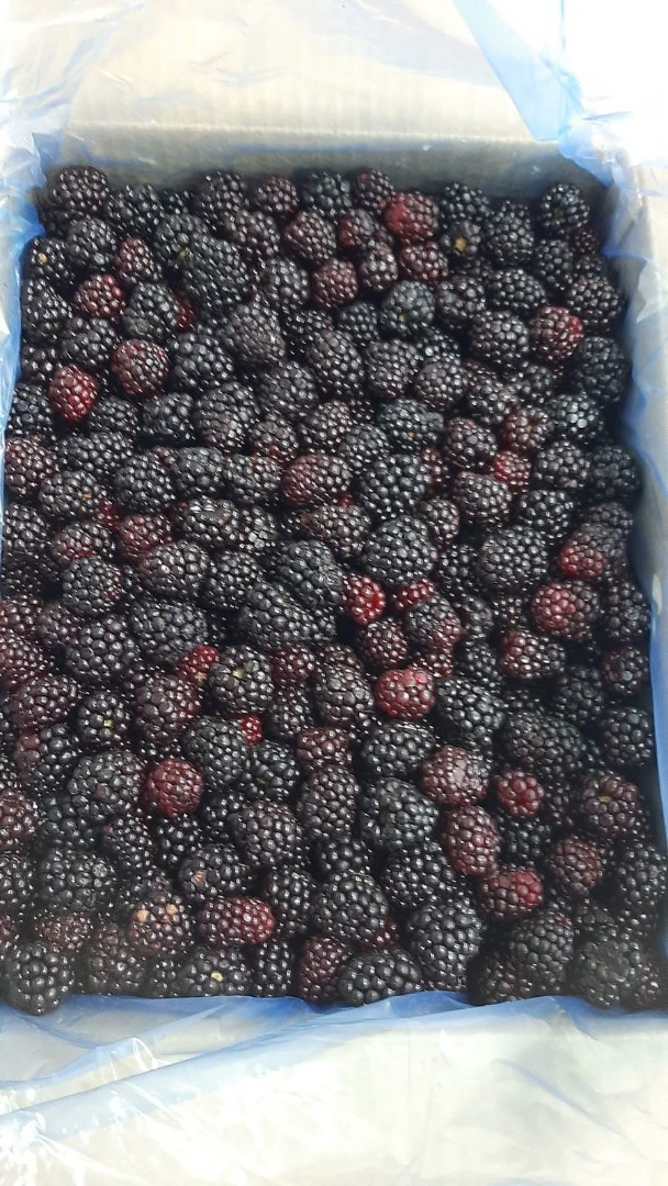 I am selling a frozen blackberry from Serbia
