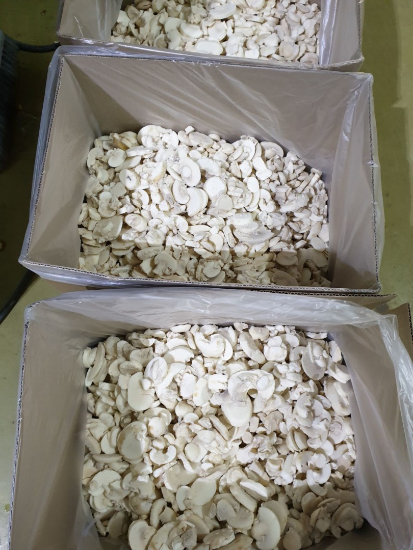 I will sell a frozen mushroom from Belarus