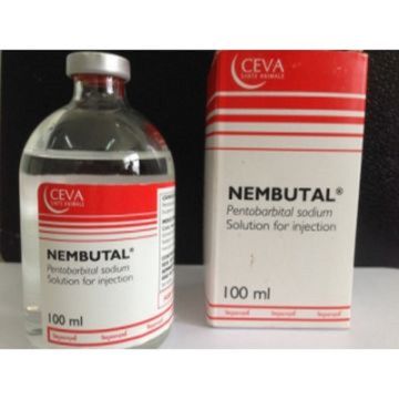 BUY NEMBUTAL ONLINE ( ‬ Emai­l : ( ) Where Nembu­tal Pento­barbi­tal Sodiu­m Solut­ion Can be Found Onlin­e? THERE IS HOPE and You can Find that Hope With