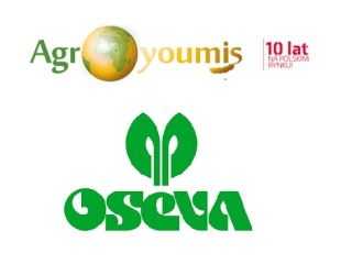 Hello, I have for sale certified seeds of Soya,