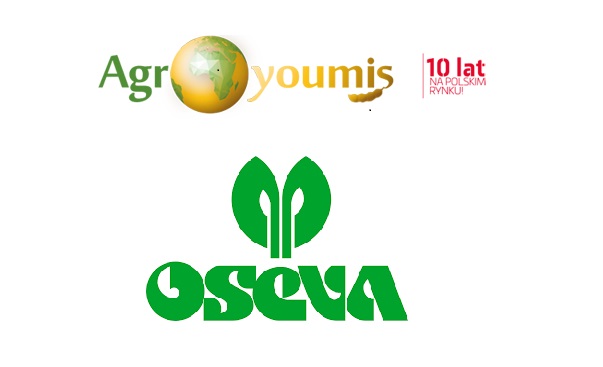 Hello, I have for sale certified seeds of Soya, corn and sunflower