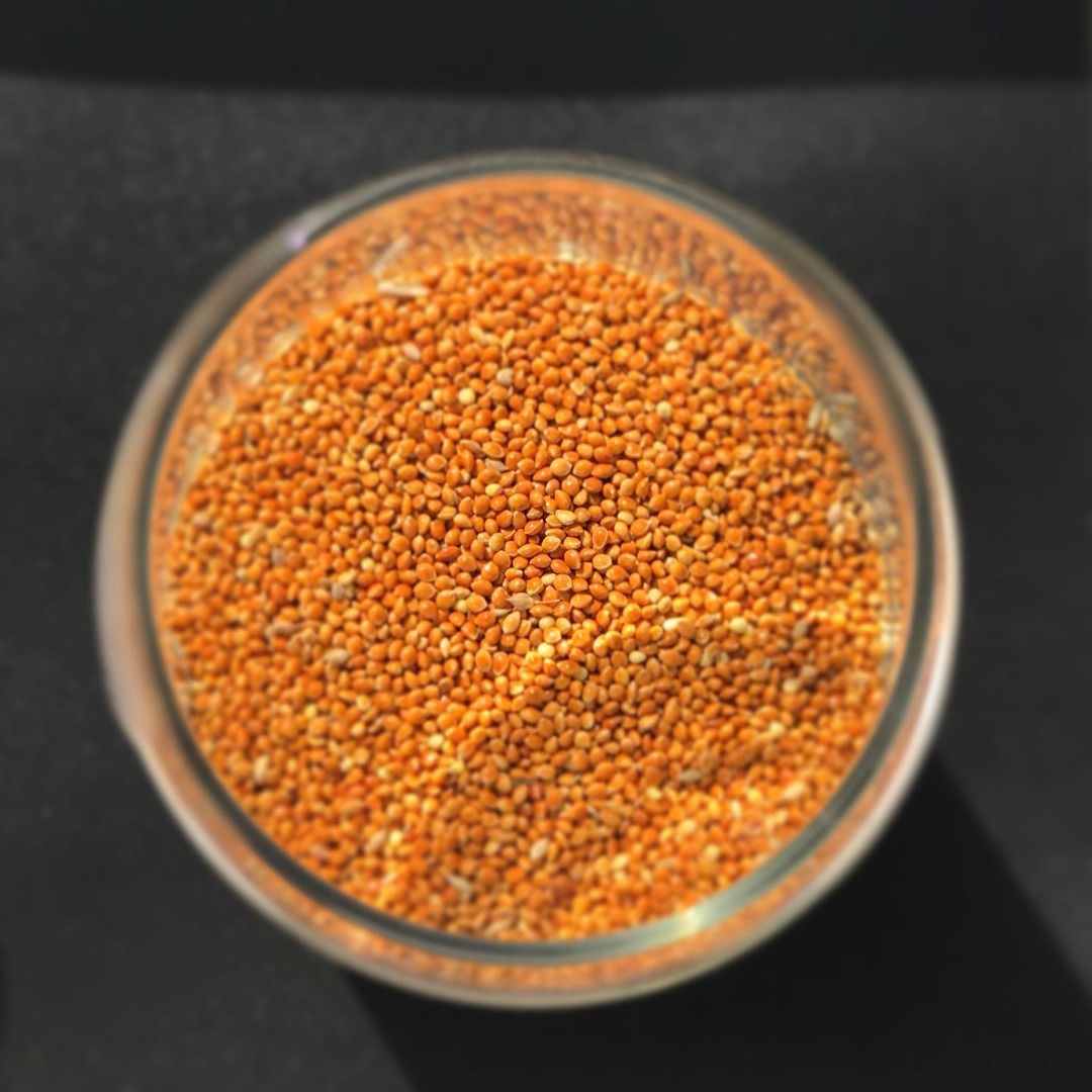 Follow us on Instagram Moisture: max 14% Foreign matter: max 2% Hulled seeds: max 8% Products are accompanied with: -Certificate of origin / EUR1 -Certificate