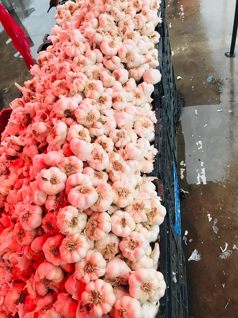 Romanian garlic, super quality I super
