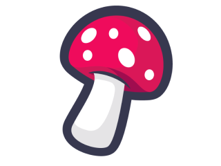 Buy magic mushrooms products and get the best deals