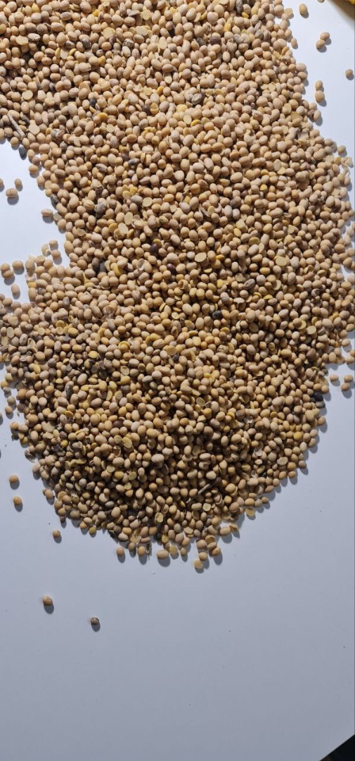 GMO soya from Ukraine Moisture up to 12% Protein 36-38% Impurities 2% Packed in BigBags Delivery DAP