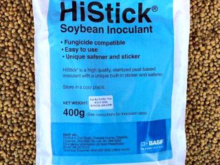 Bacterial vaccine for self-treatment of seeds before sowing. This