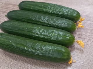 medium cucumber fruit smooth mass, standard with a flower.
