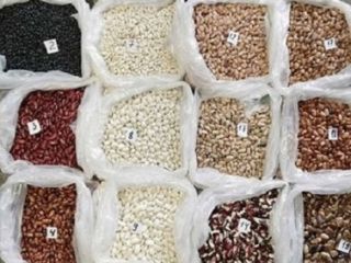 Wholesale of beans. Different types of beans in the