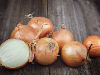 Food-grade onion, good quality! Bow, caliber 5+ cm Onions