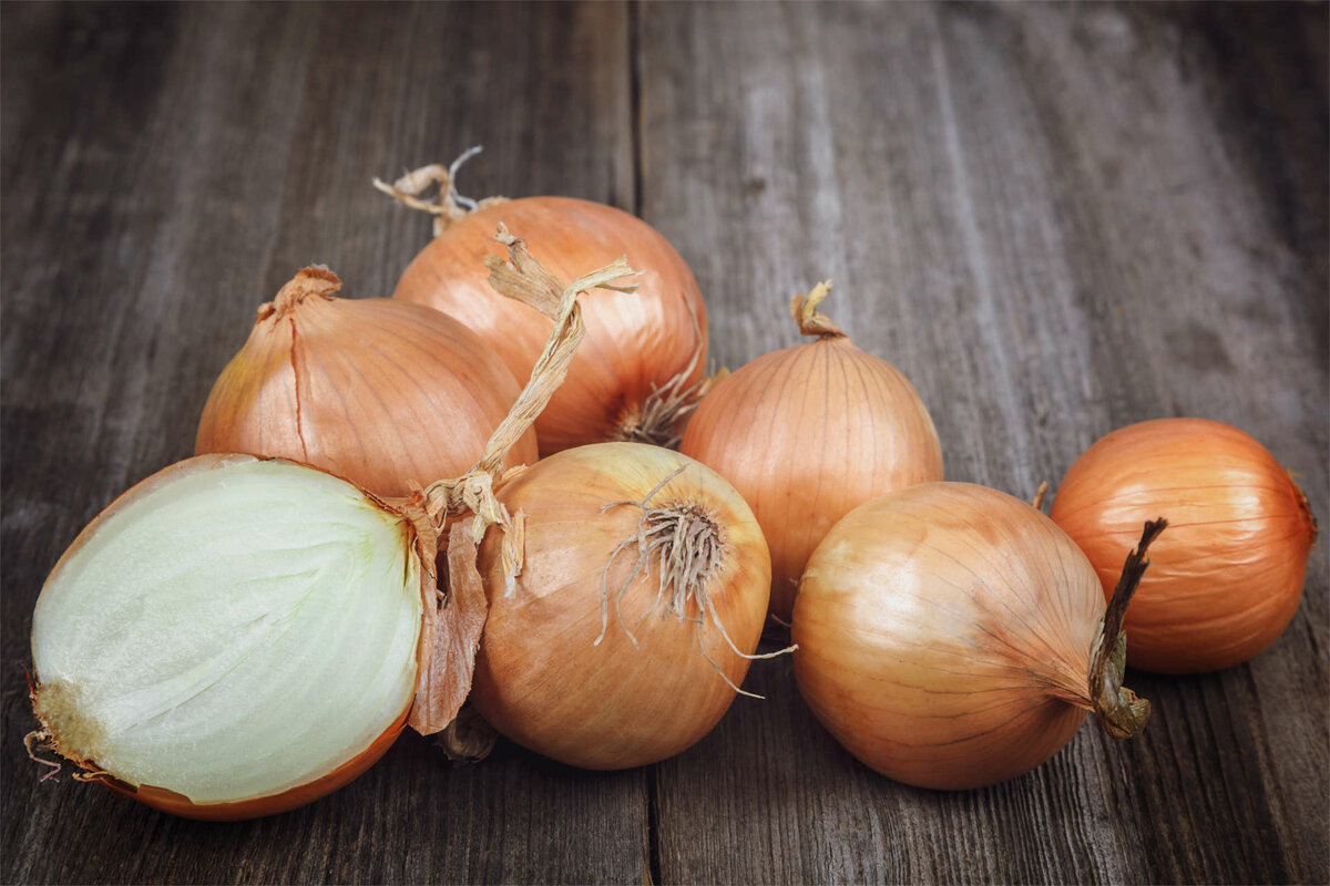 Food onion, good quality! Bow caliber 5+ cm Onions are packed in nets of 25-30 kg Dressed bulbs