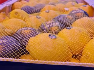 We will sell Spanish lemons. Very juicy. We invite!
