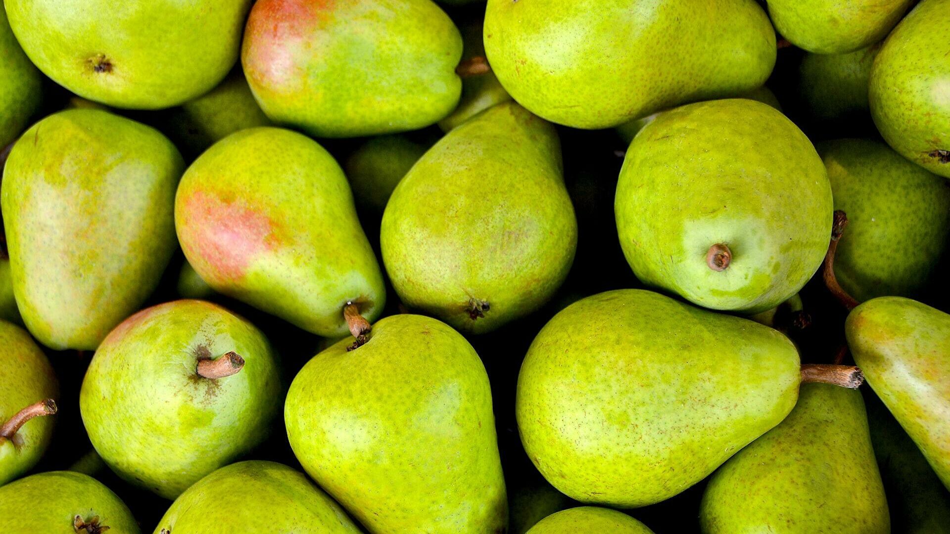 Our Company (KATSIS A.E) Our varieties of pears: -Krysralli Pear -Santa Maria Pear -Coscia pear