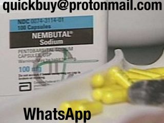Buy Nembutal, Buy Pentobarbital Sodium Online contact Nembutal belongs