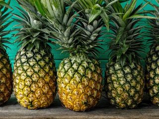 We are a group of pineapple producers based in