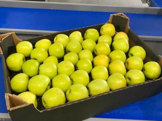 Apples are packed in boxes as well as many