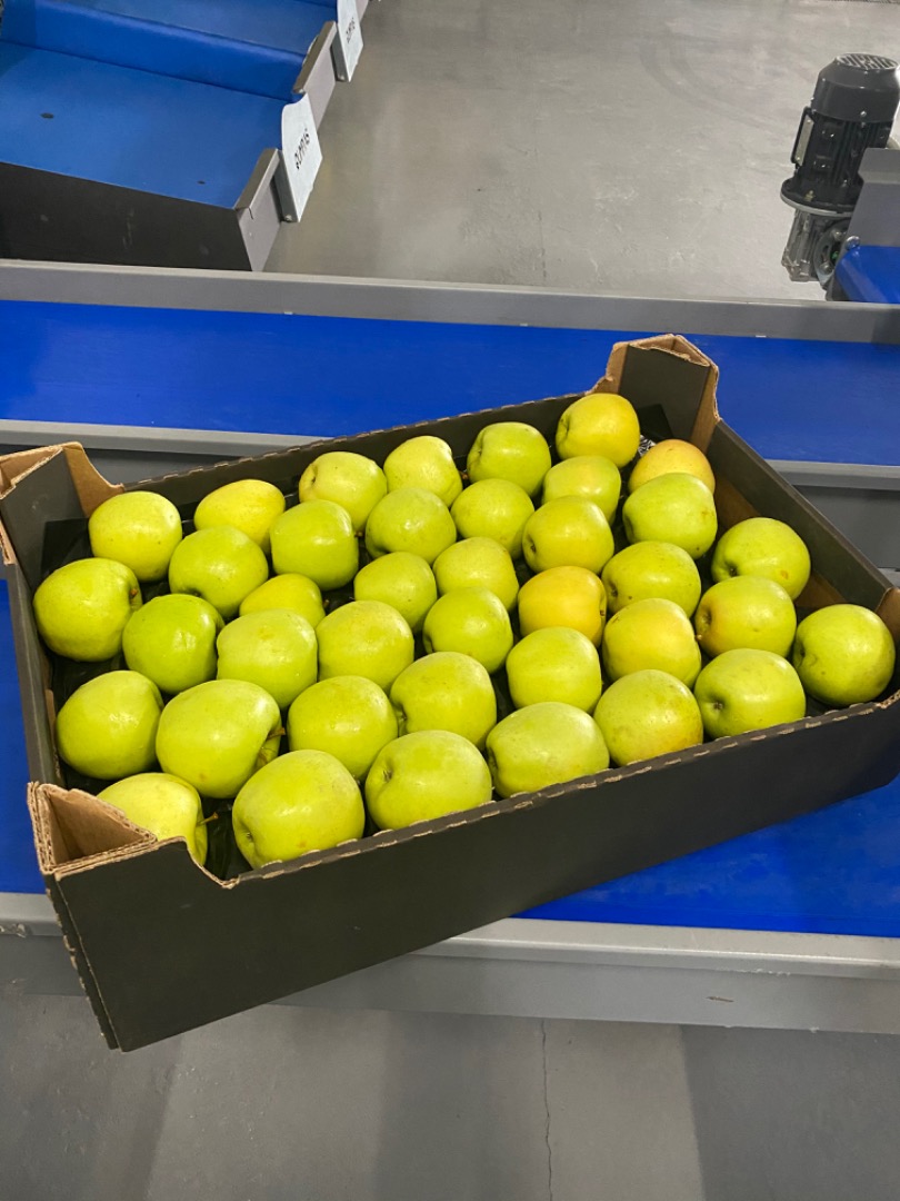Apples are packed in boxes as well as many other types of apples