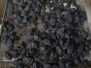 Best quality prunes, Stanley sort. We have 70 tons
