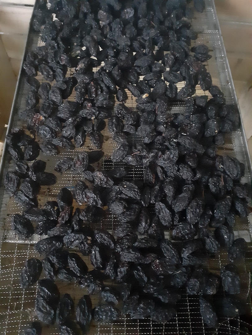 Best quality prunes, Stanley sort