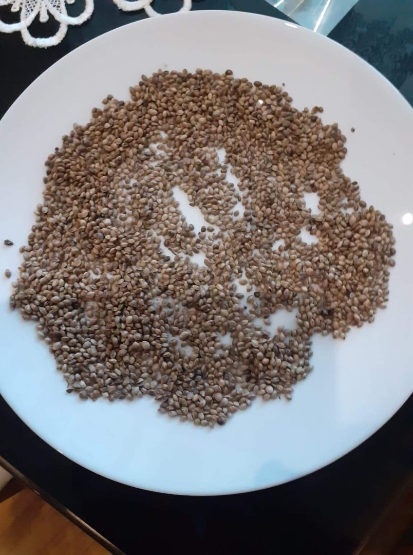 Hello, I have for sale about 20t of hemp of the HENOLA variety, cleaned hemp 10t 100% purity, please contact me and place an offer price to be determined