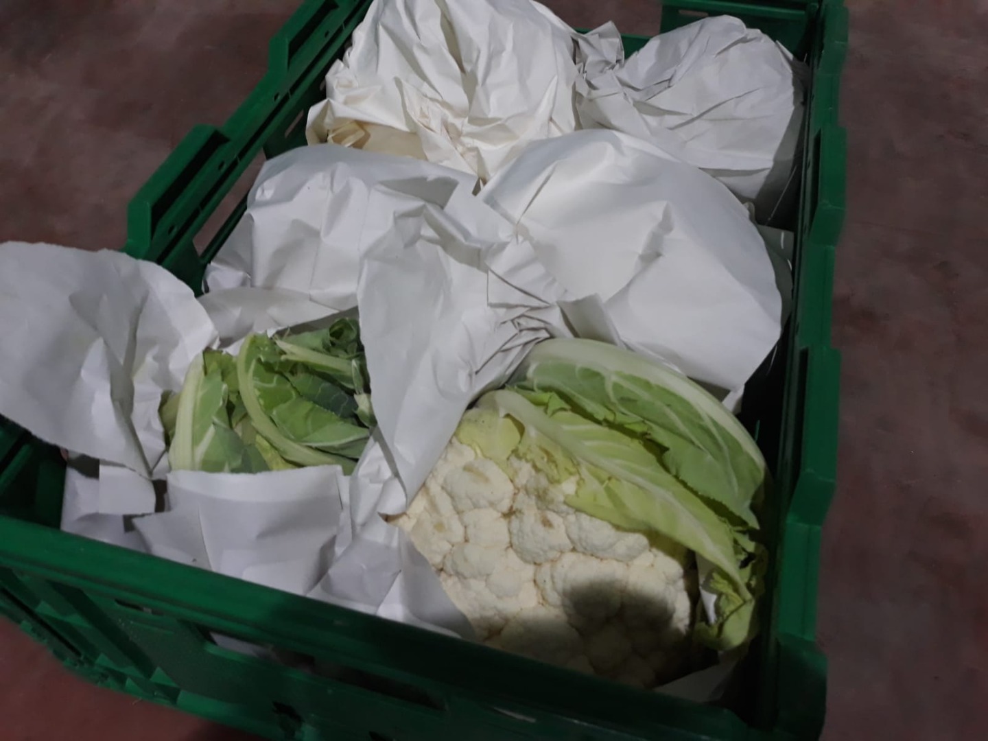 Bio products 500 grams 1,0 Kgs #Mr