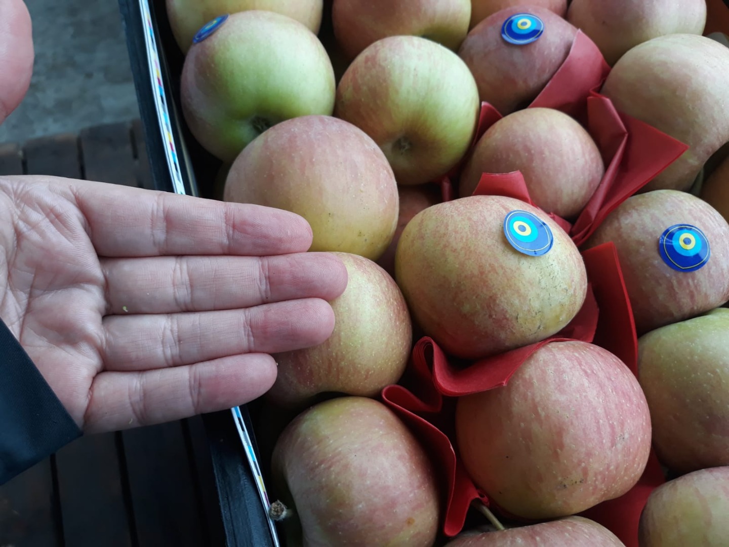 Fuji Apple Ecological #Mr