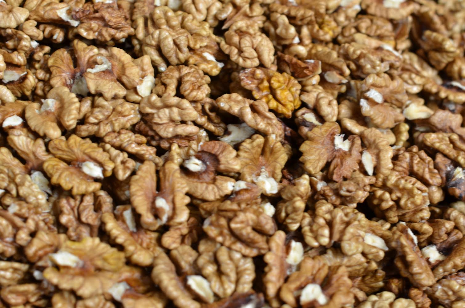 I will sell 30 kg of shelled walnuts