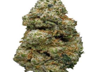 (WhatsApp +1 (518) 460-5325) Buy weed and cocaine in