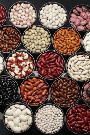 Wholesale of beans with delivery from Ukraine Wholesale of beans