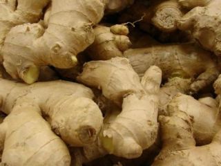 Gingembre frais de Madagascar (BIO) Taille: 50, 60,70,80,100 g