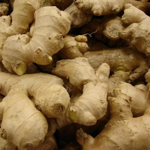Gingembre frais de Madagascar (BIO) Taille: 50, 60,70,80,100 g Minimum commande : 10-50tonnes Pays d'origine : Madagascar Emballage : carton (négociable) Usage