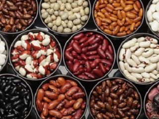 Wholesale beans with delivery from Ukraine Wholesale beans. Buy