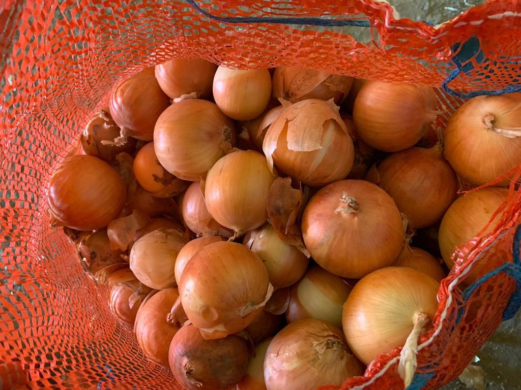 Bulb onions, great for cooking in restaurants, cafes, catering