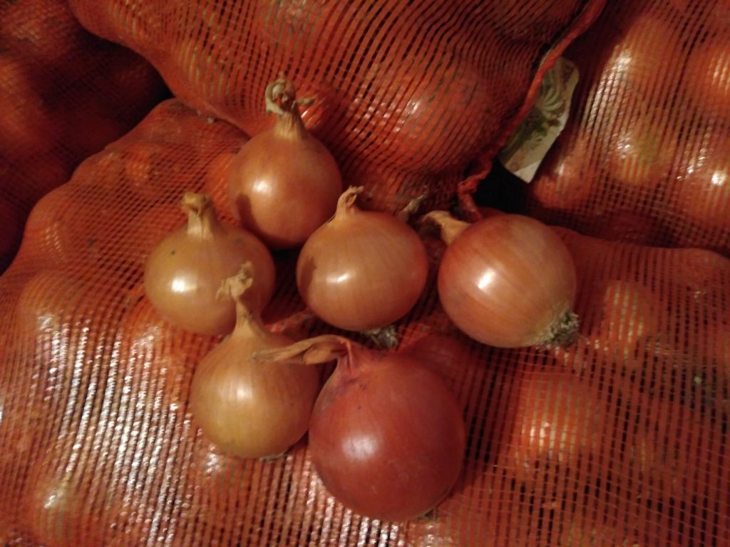 Bulb onions, great for cooking in restaurants, cafes, catering