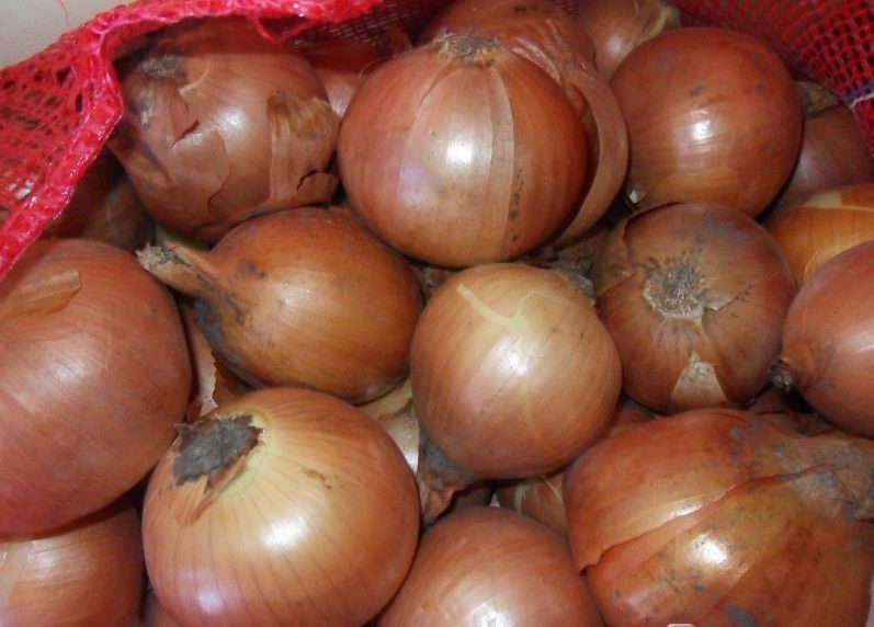 Bulb onions, great for cooking in restaurants, cafes, catering