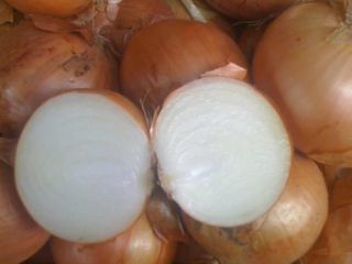 Bulb onions, great for cooking in restaurants, cafes, catering.