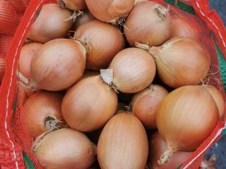 Bulb onions, great for cooking in restaurants, cafes, catering.