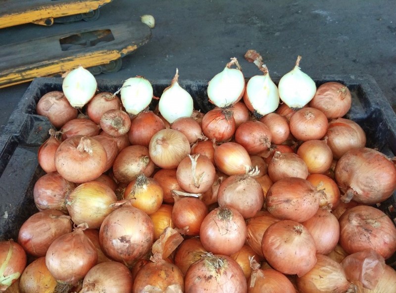 Bulb onions, great for cooking in restaurants, cafes, catering