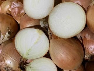 Bulb onions, great for cooking in restaurants, cafes, catering.