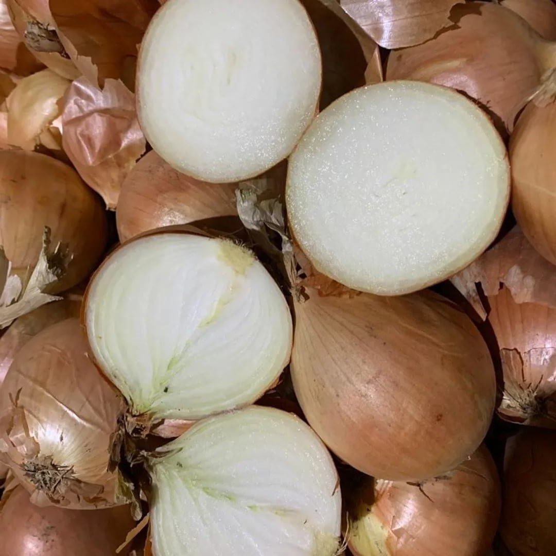 Bulb onions, great for cooking in restaurants, cafes, catering