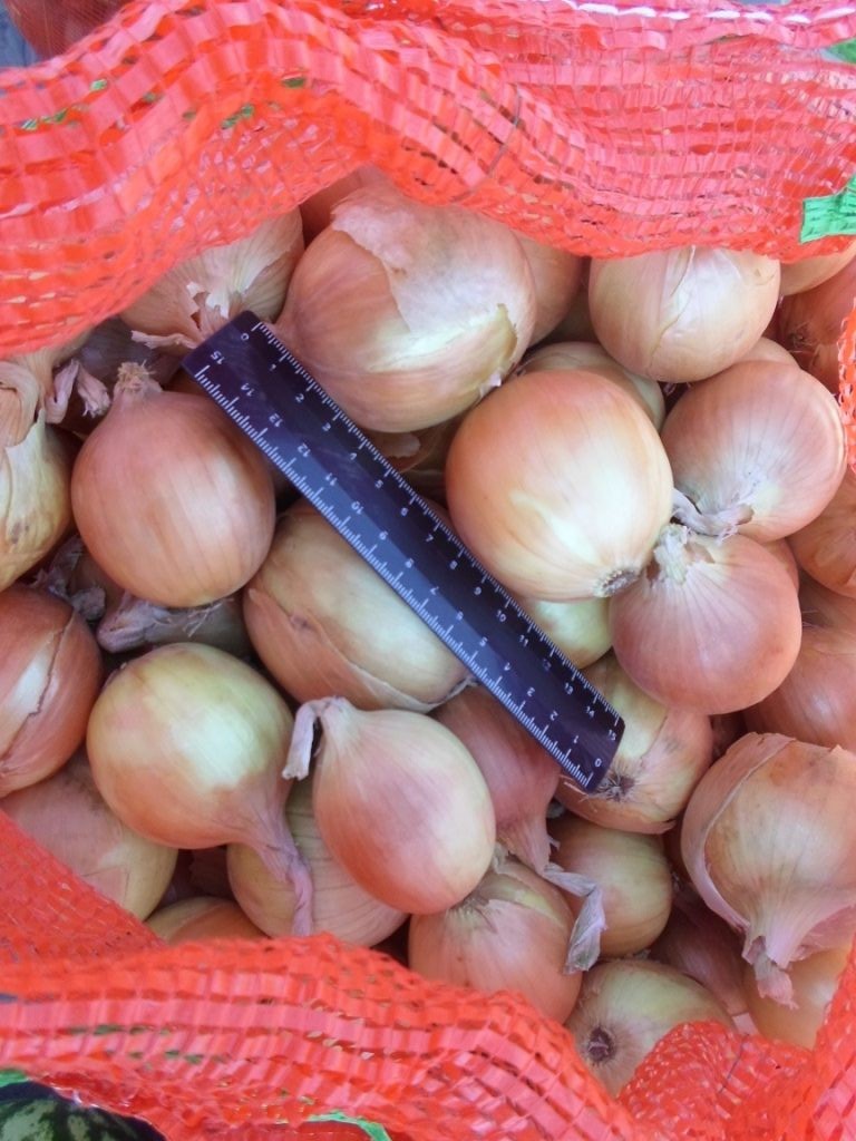 Bulb onions, great for cooking in restaurants, cafes, catering