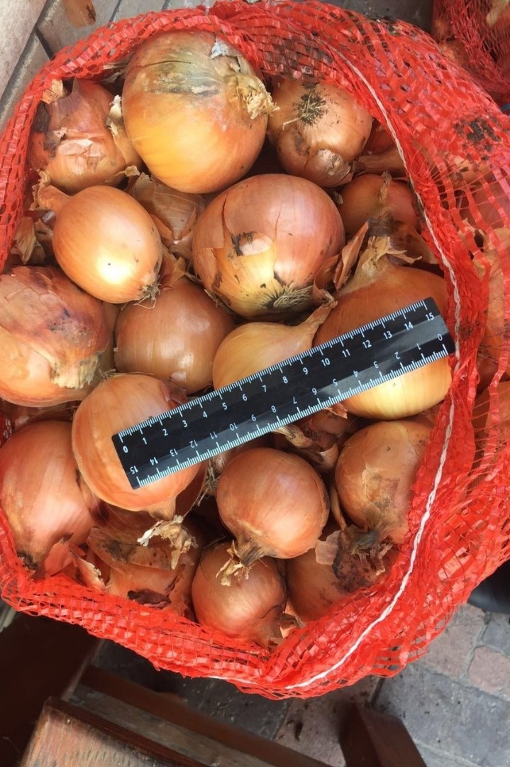 Bulb onions, great for cooking in restaurants, cafes, catering