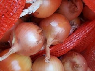 Bulb onions, great for cooking in restaurants, cafes, catering.