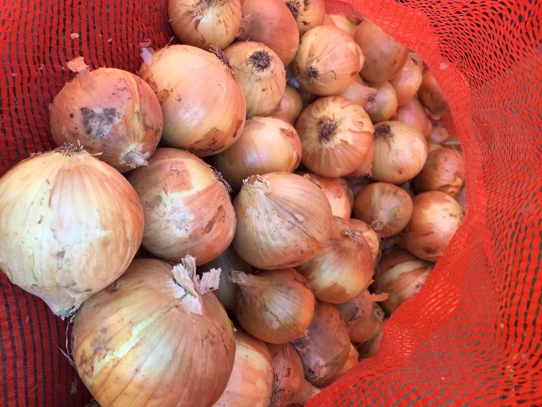 Bulb onions, great for cooking in restaurants, cafes, catering