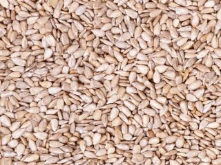 sunflower kernel seeds purity 99.9%