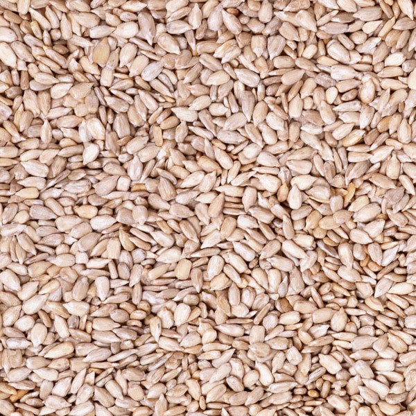 sunflower kernel seeds purity 99.9%