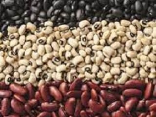 Beans for sale We offer to buy beans from