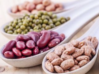 Wholesale beans in stock. Delivery from Ukraine. Naturprodukt hoppers